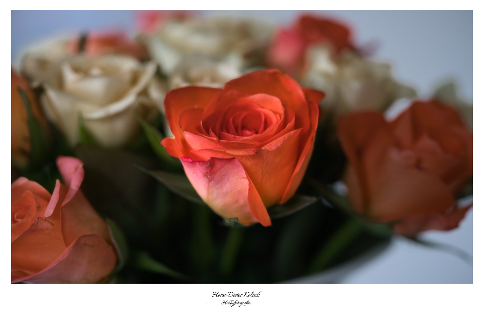 Blumen zum Muttertag