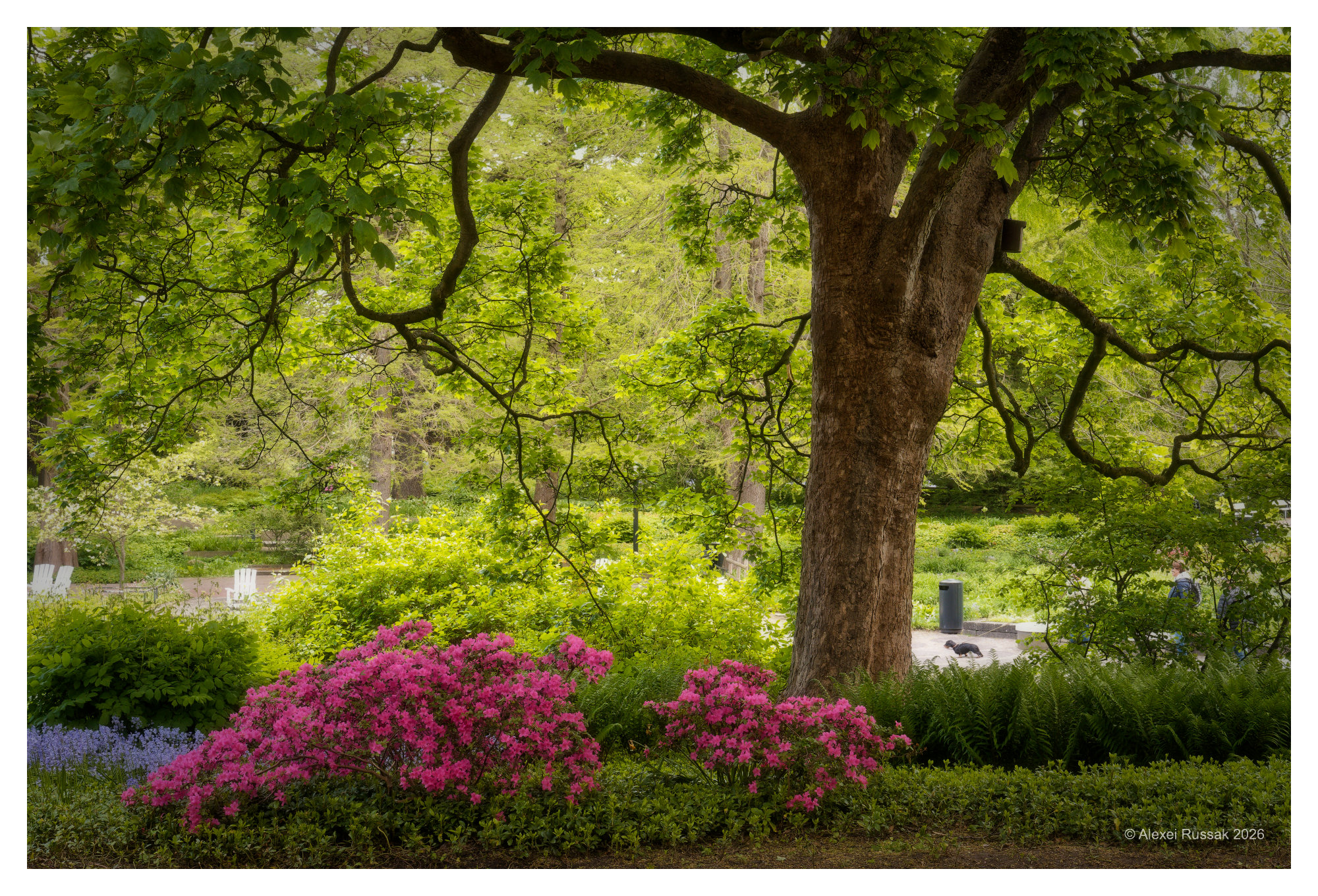 Unter dem Baum
