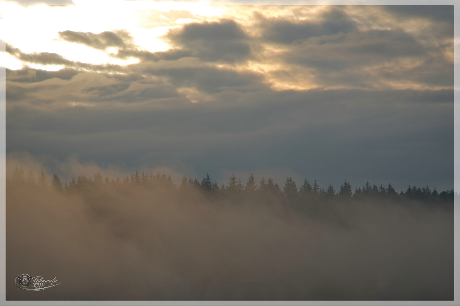 Frühnebel 1