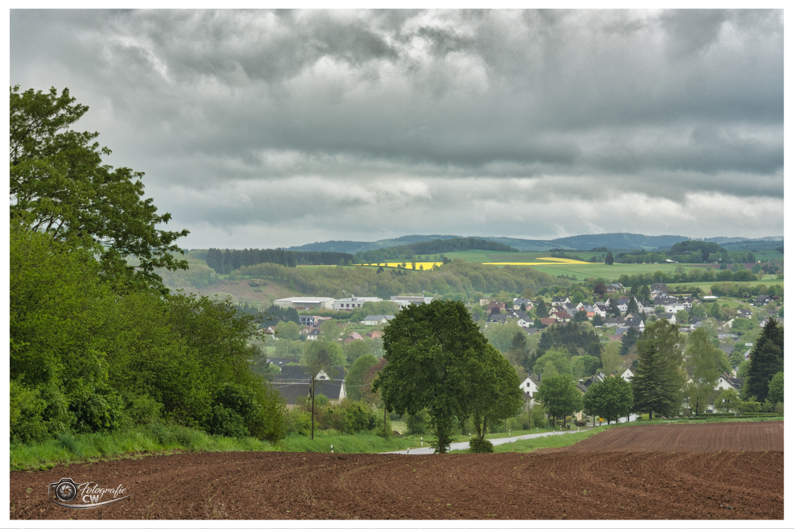 Raps in der Eifel