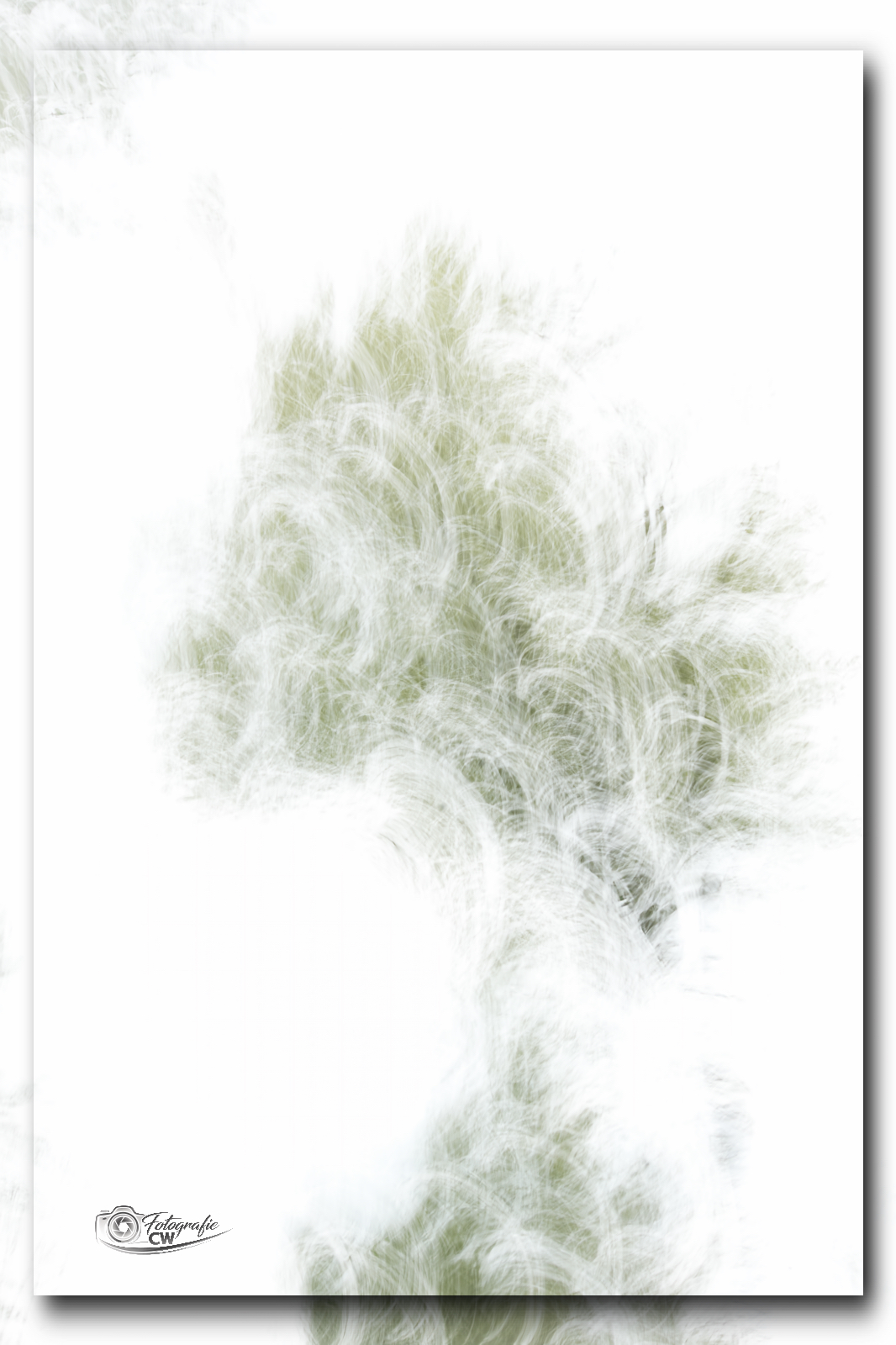 ICM Busch