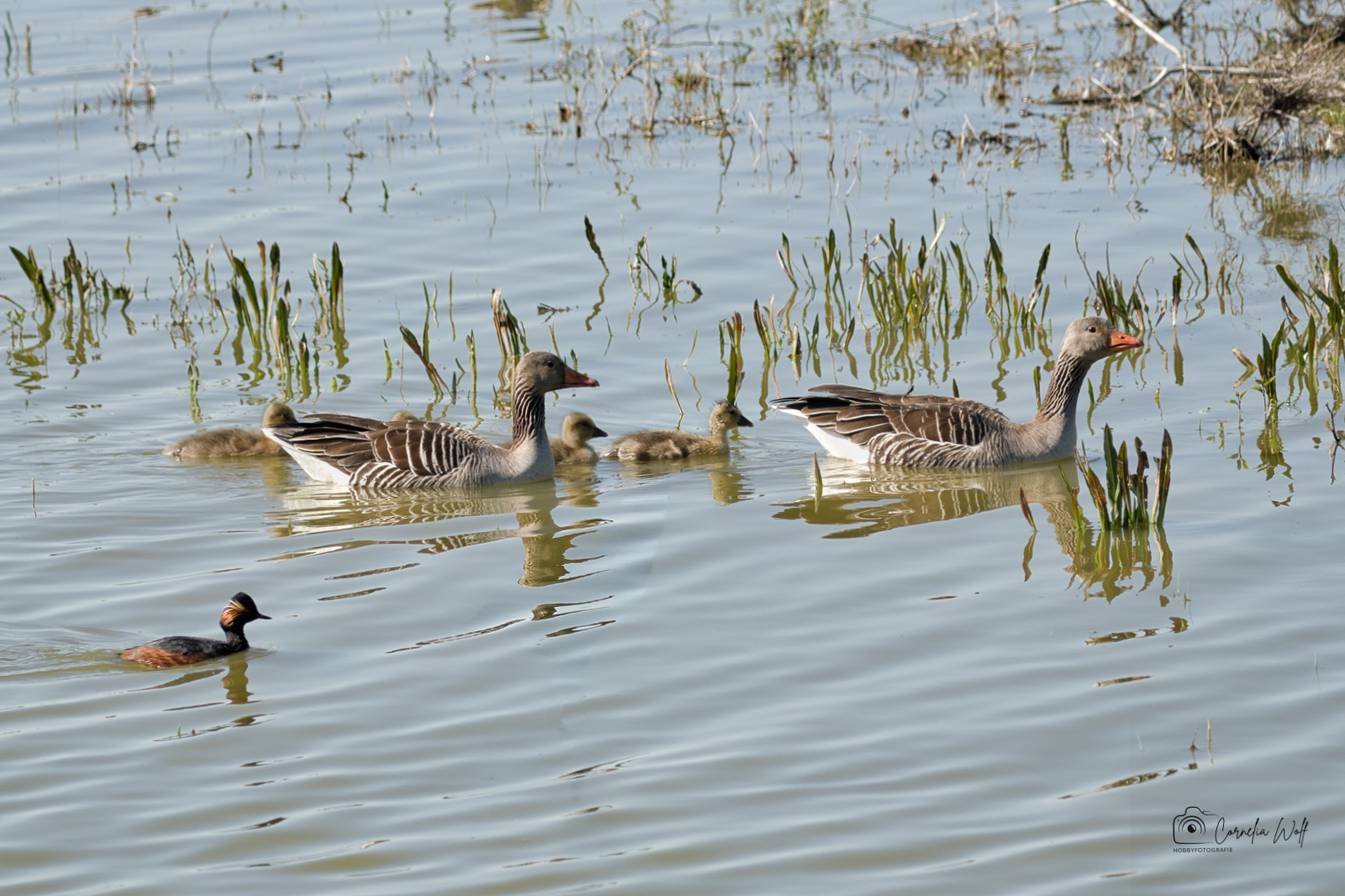 Familienausflug