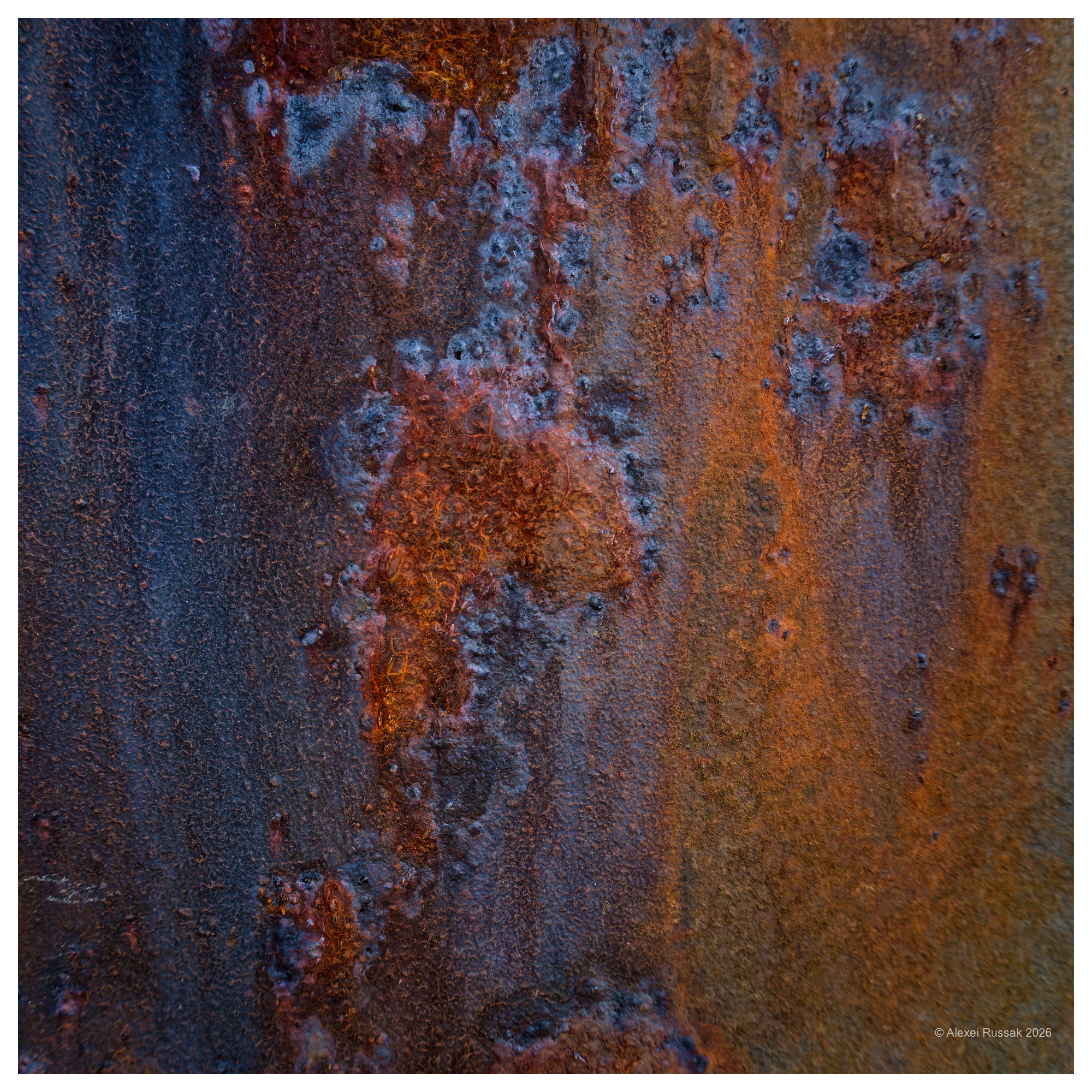 Terra incognita II