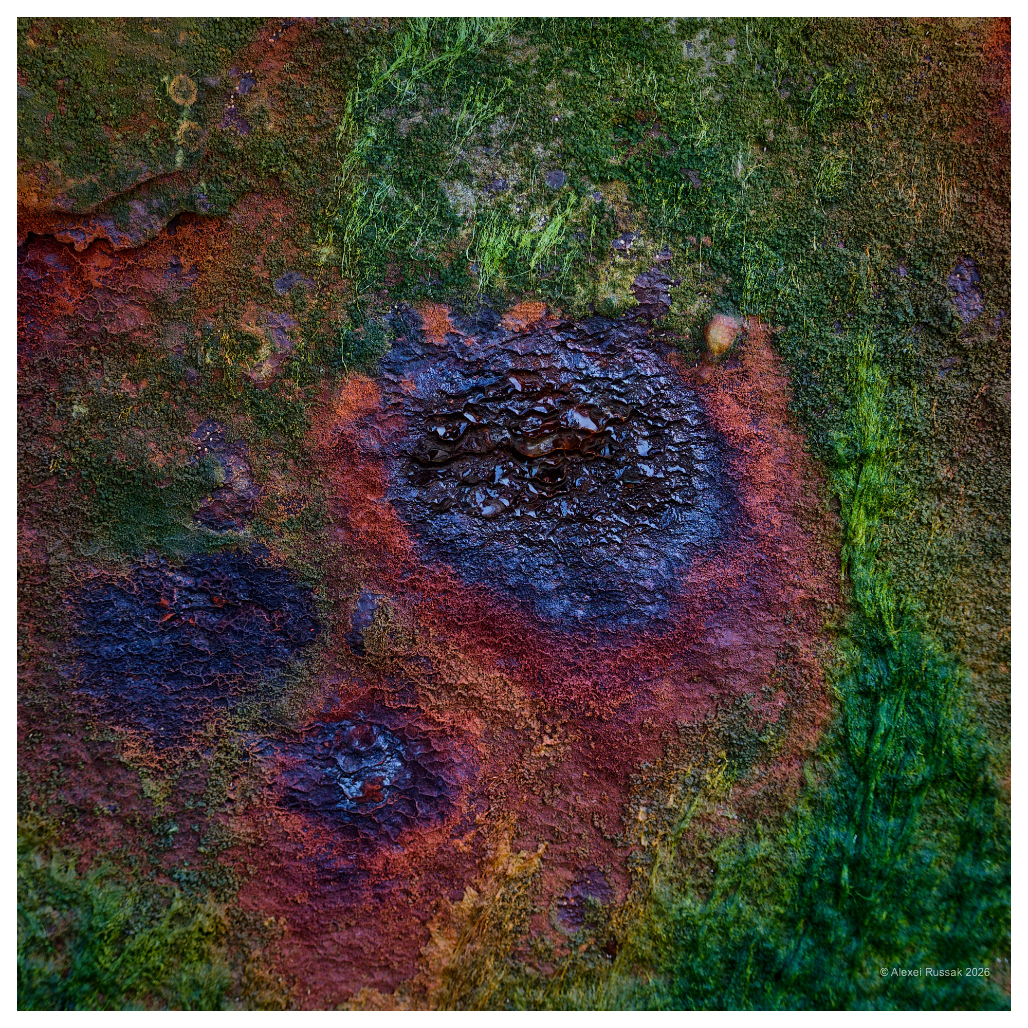 Terra incognita III