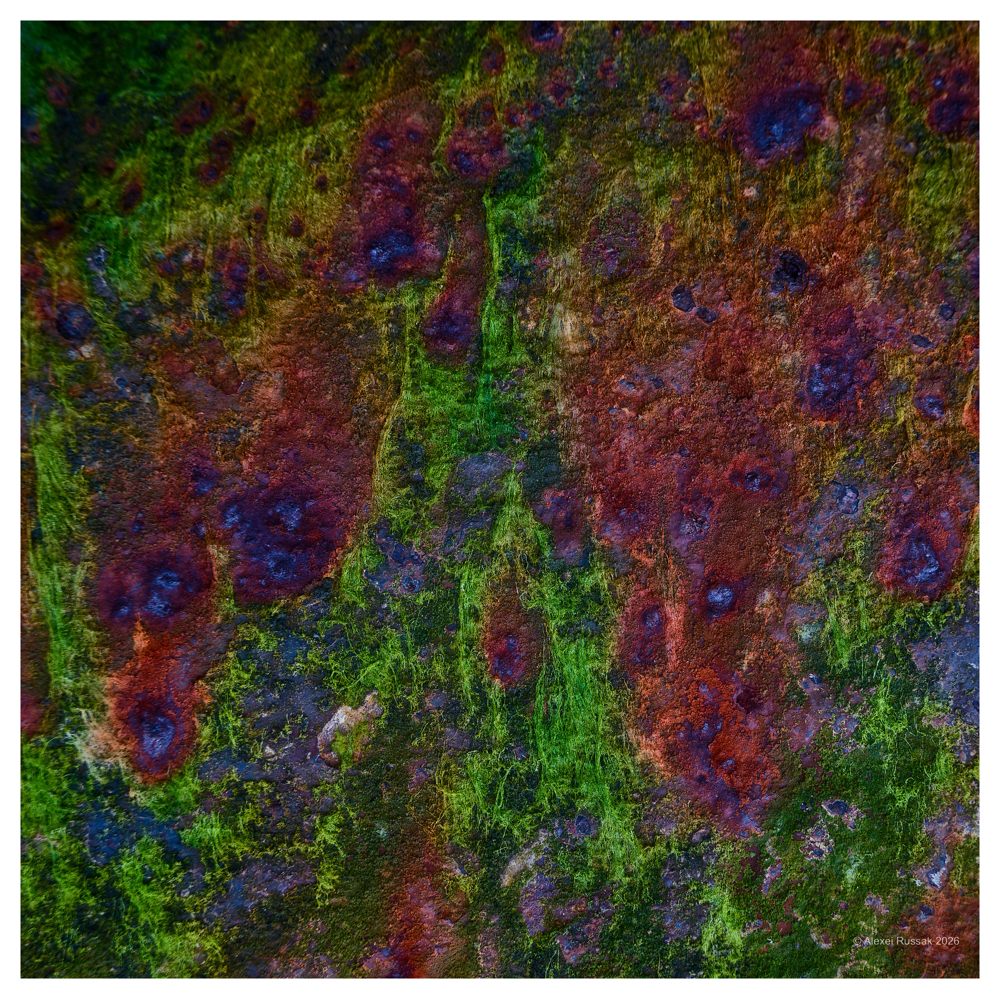 Terra incognita IV