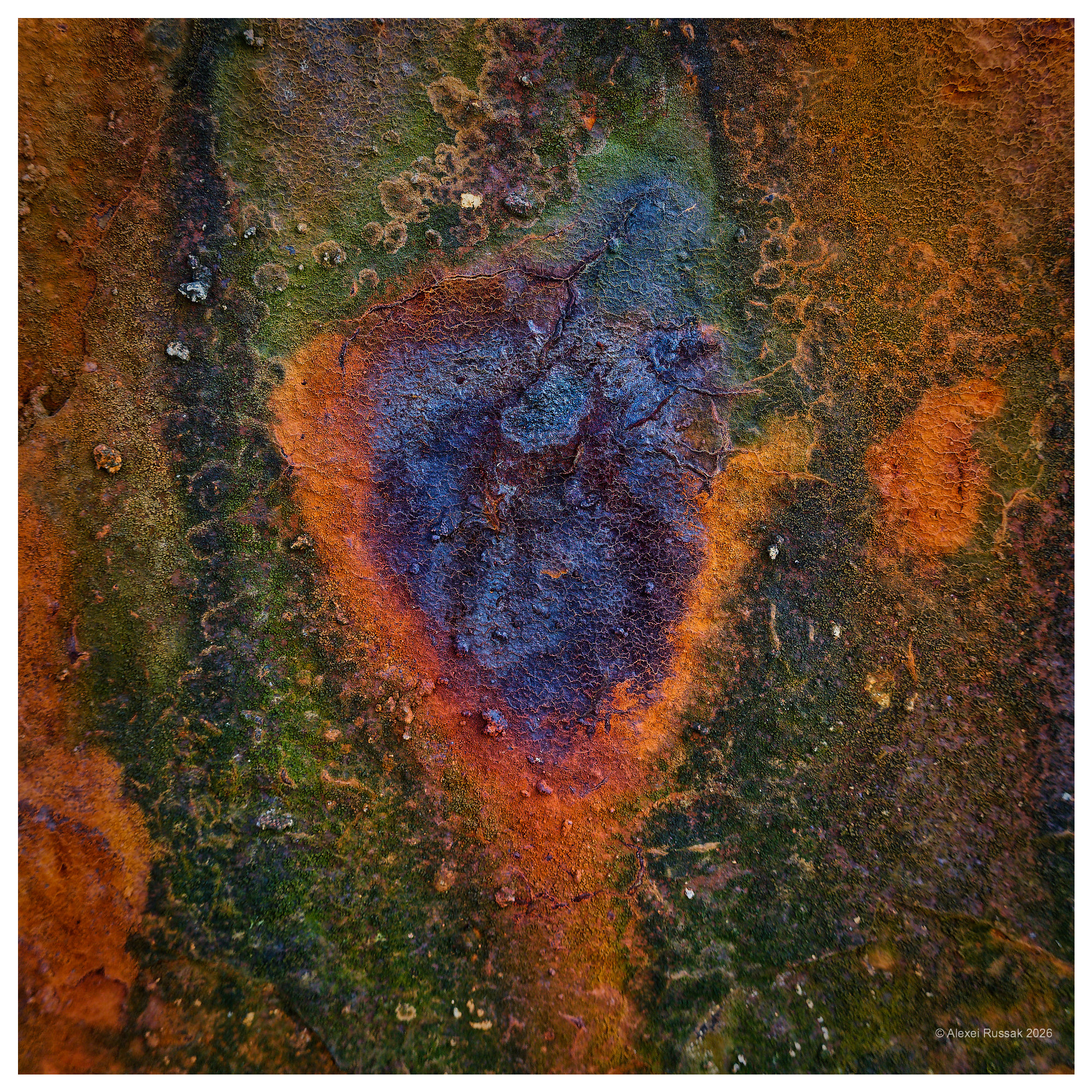 Terra incognita V