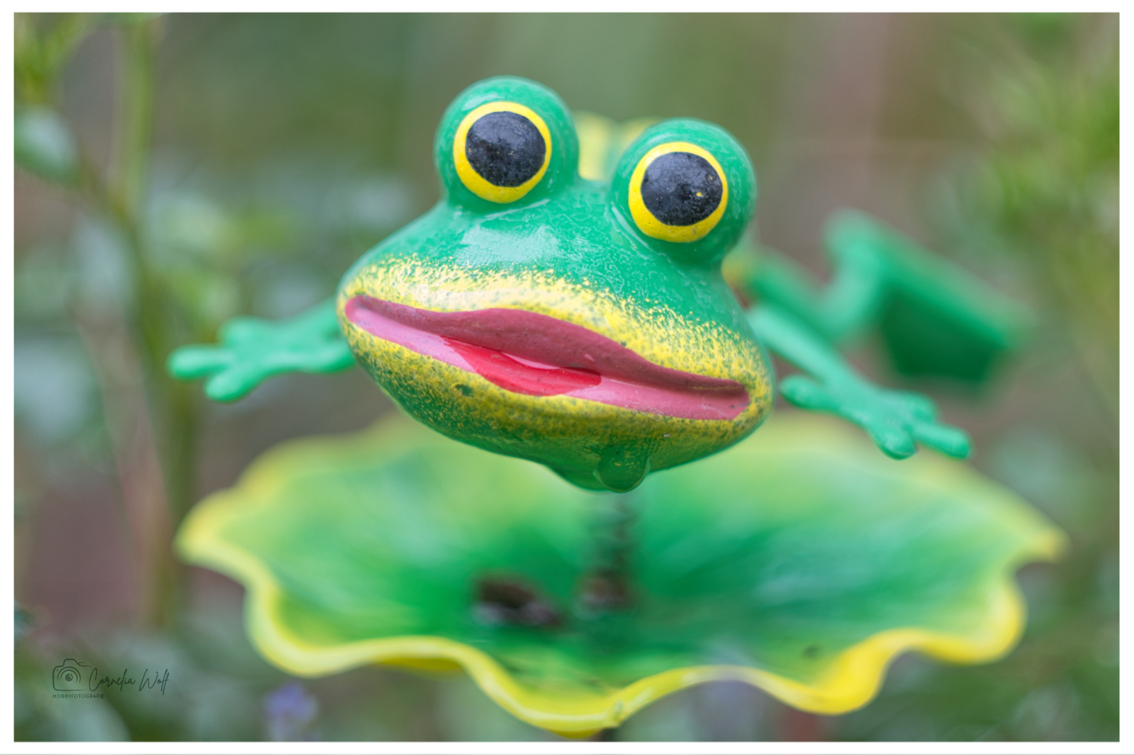 Gartendeko Frosch