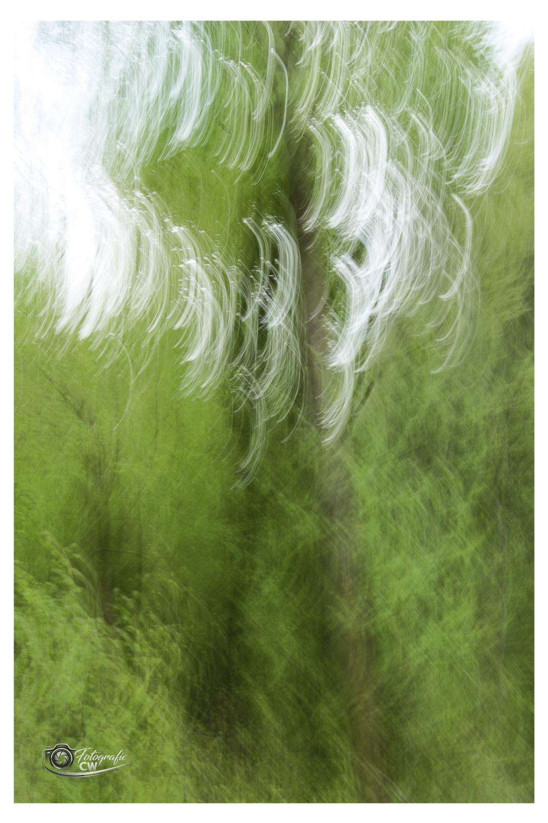 ICM Wald