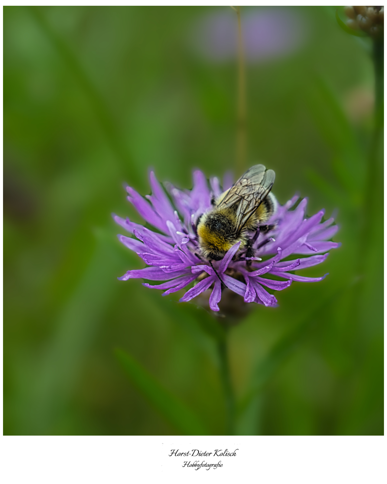 -Mit der 📷 durchs Naturschutzgebiet-