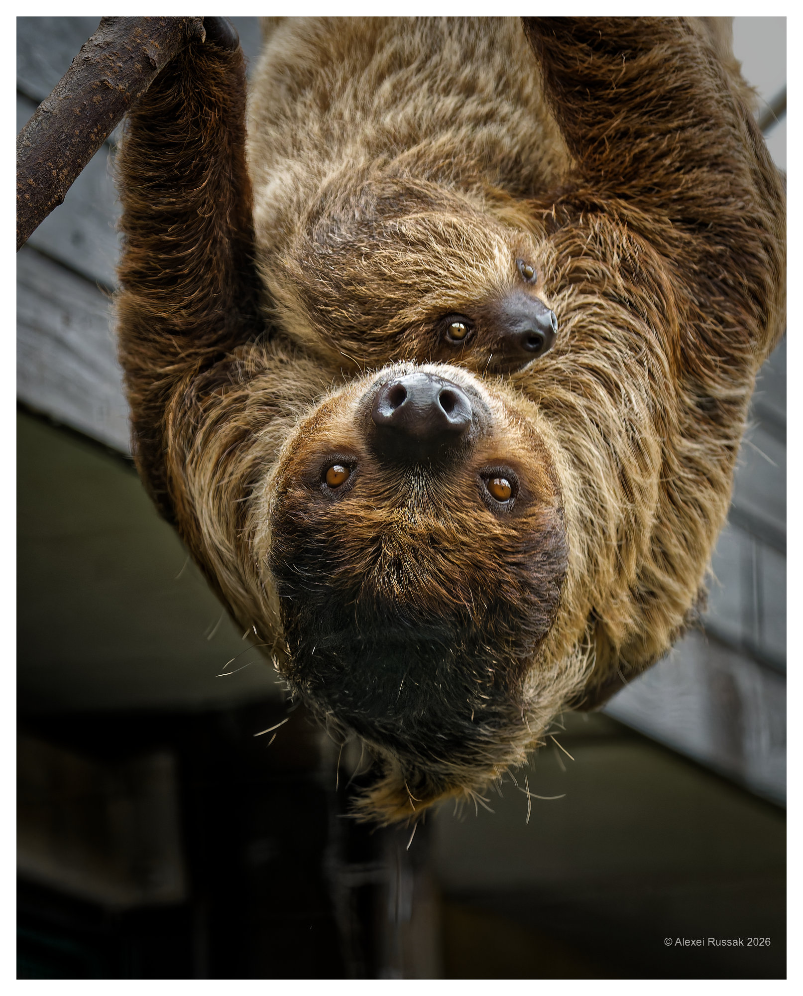 Weltvogelpark Walsrode