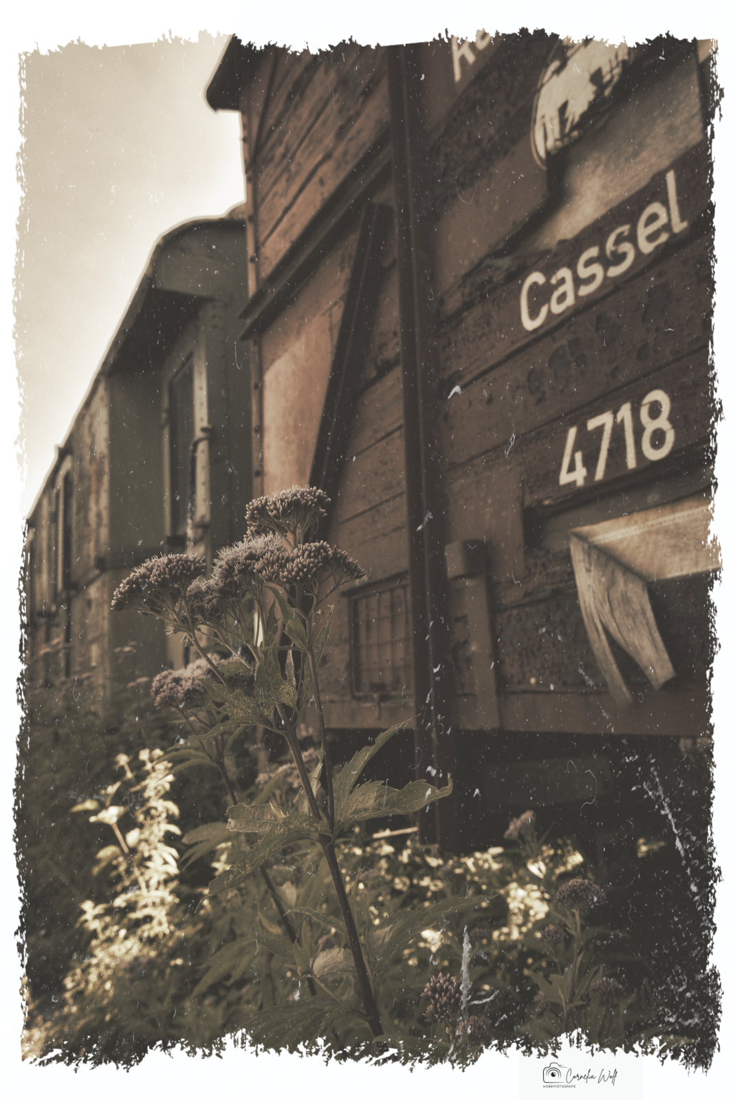Cassel