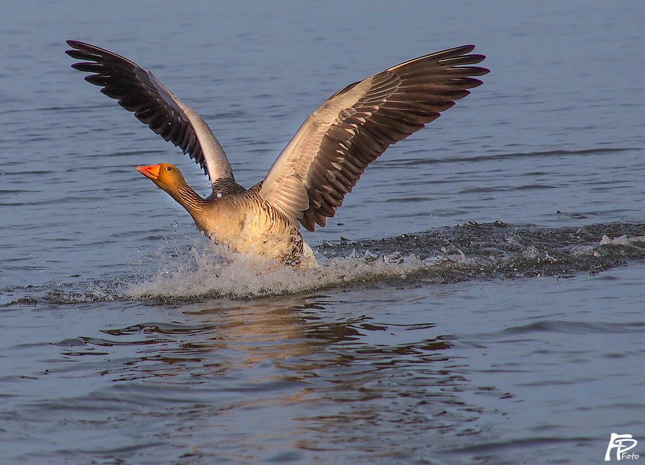 Landeanflug