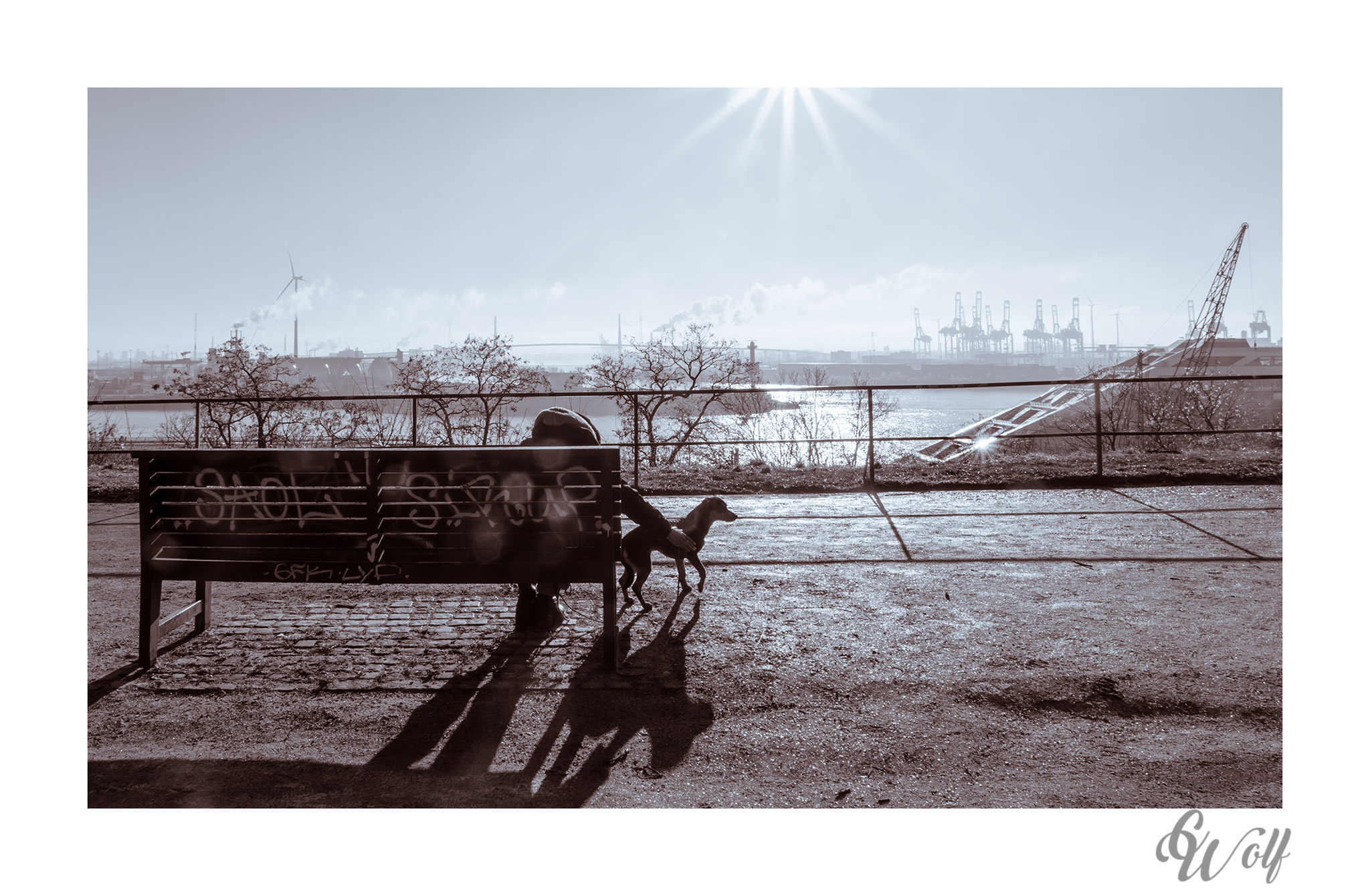 Sonne genießen