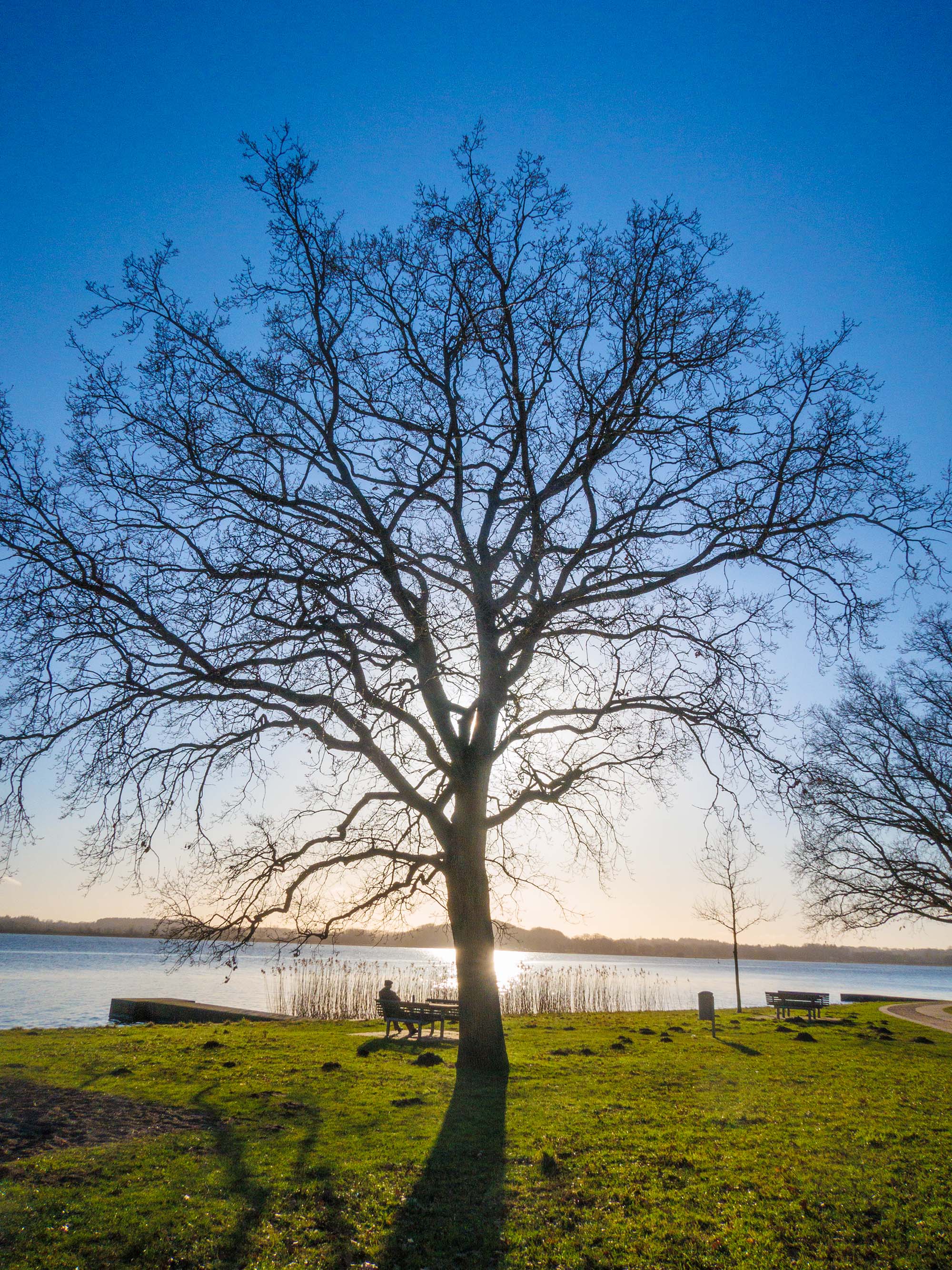 Sonnenschlei