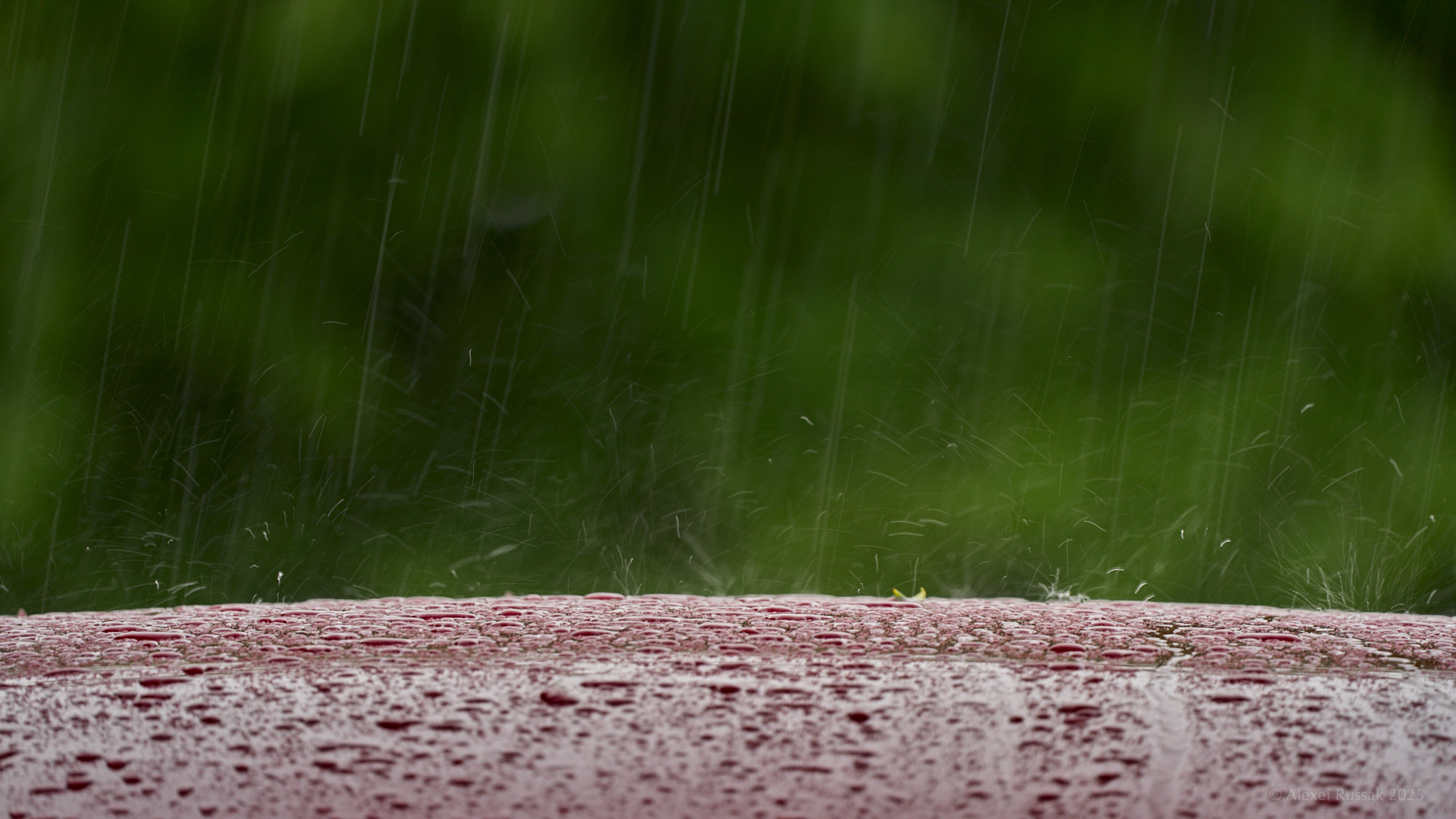 Regen