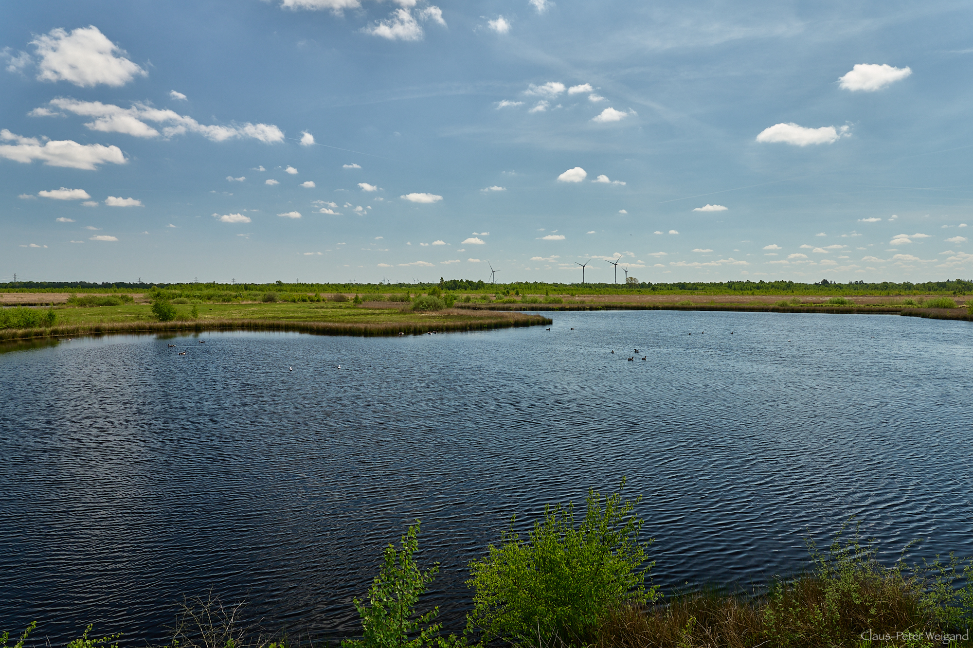 "Wildes Moor" bei Osterrönfeld