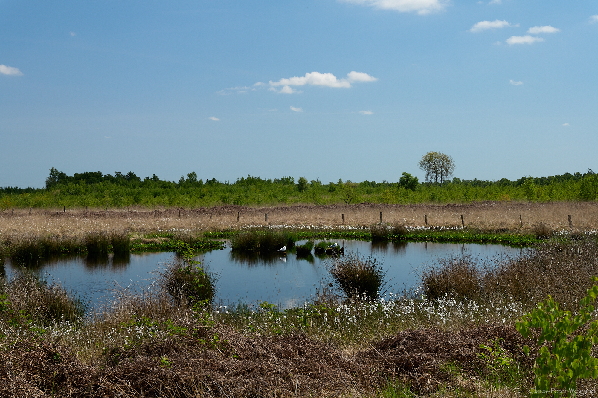 "Wildes Moor" bei Osterrönfeld