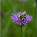 -Mit der 📷 durchs Naturschutzgebiet-