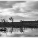 Zwischen den Jahren im Moor - es war sehr kalt