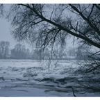 Eisscholle auf der Elbe bei  Geesthacht