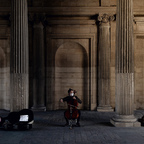 Der Cellist