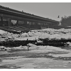 Eisberge an der Elbschleuse Geesthacht 🧊