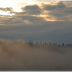 Frühnebel 1