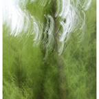ICM Wald