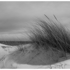 Am Strand von Kalifornien/Ostsee