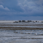 Weite mit Blick nach St. Peter-Ording