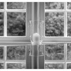 Fenster