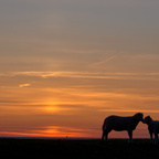 Gute Nacht am Deich