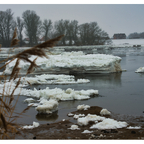 Eisberge an der Elbschleuse Geesthacht 🧊