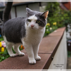 Fototour durch die Lübecker Altstadt