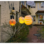 Hof der Lampions  Die Rote Straße ist eine