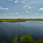 "Wildes Moor" bei Osterrönfeld