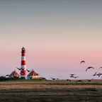 Gänse vorm Leuchtturm