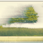 ICM am Getreidefeld