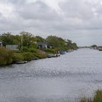 Ribe 1