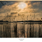 Sonnenaufgang am Fockbeker See