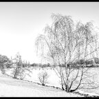 Winter an der Schlei