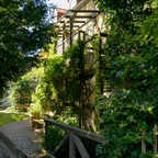 Hinterhof