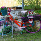 Buntes Bike
