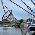 Am Hafen