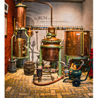 Rum-Destillateur