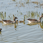 Familienausflug