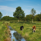 An der Schöpfmühle Honigfleth