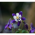 Mit der Kamera auf der Terrasse 💙😊