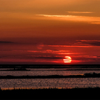 Sonnenuntergang im Beltringharder Koog