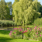 Kälberteich